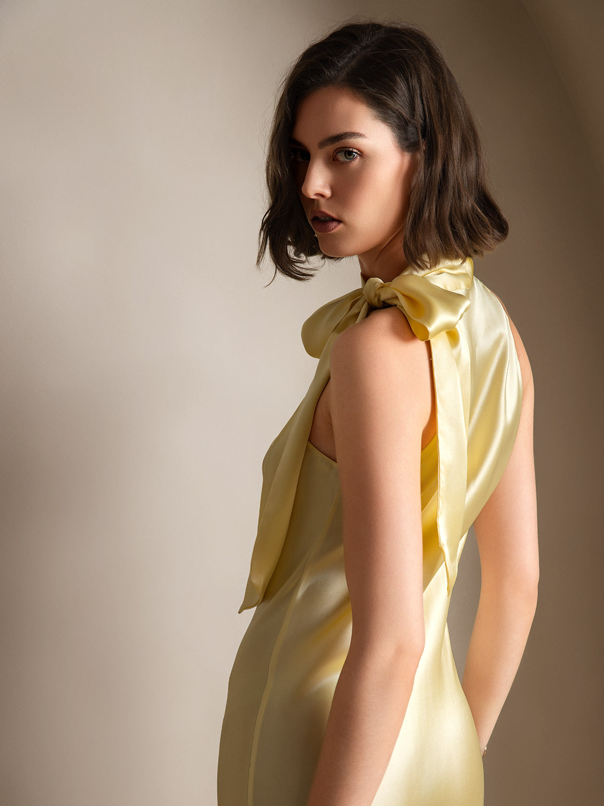19Momme Silk Tie Neck Dress